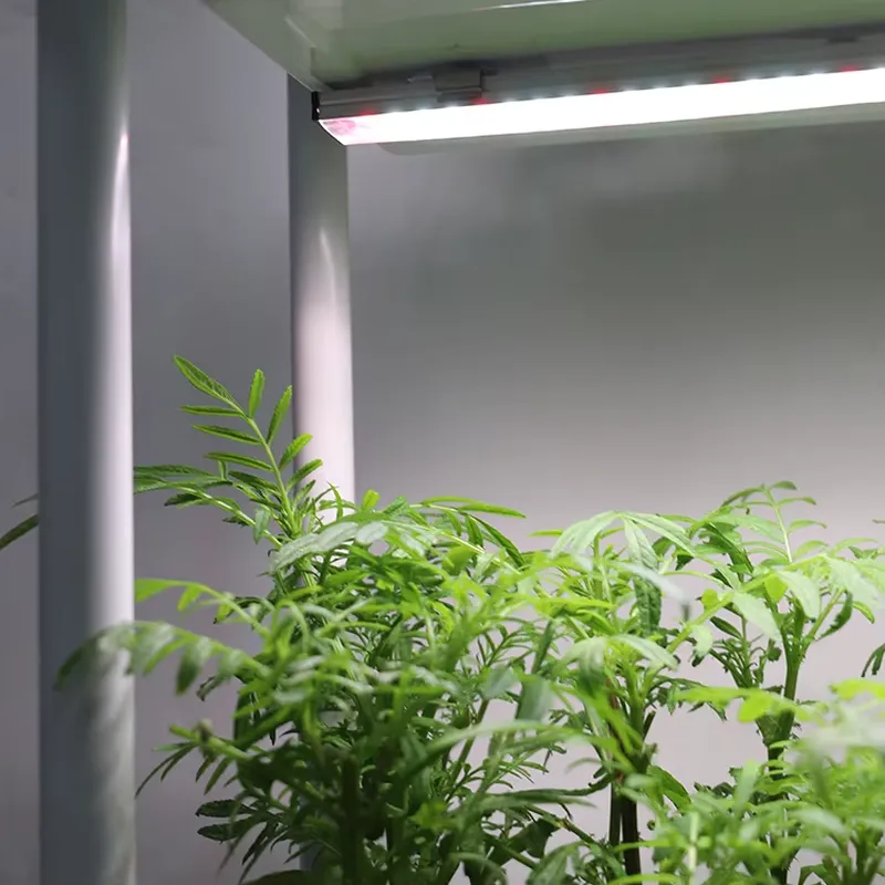 Self Watering Planter - Verplaatsbaar verticaal 3-laags zelfwaterende slimme tuinplantbak