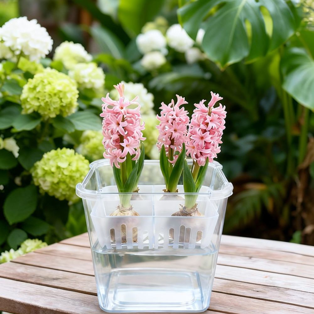 Plant Pot - Hydroponische vaas voor tulpen en lelies,