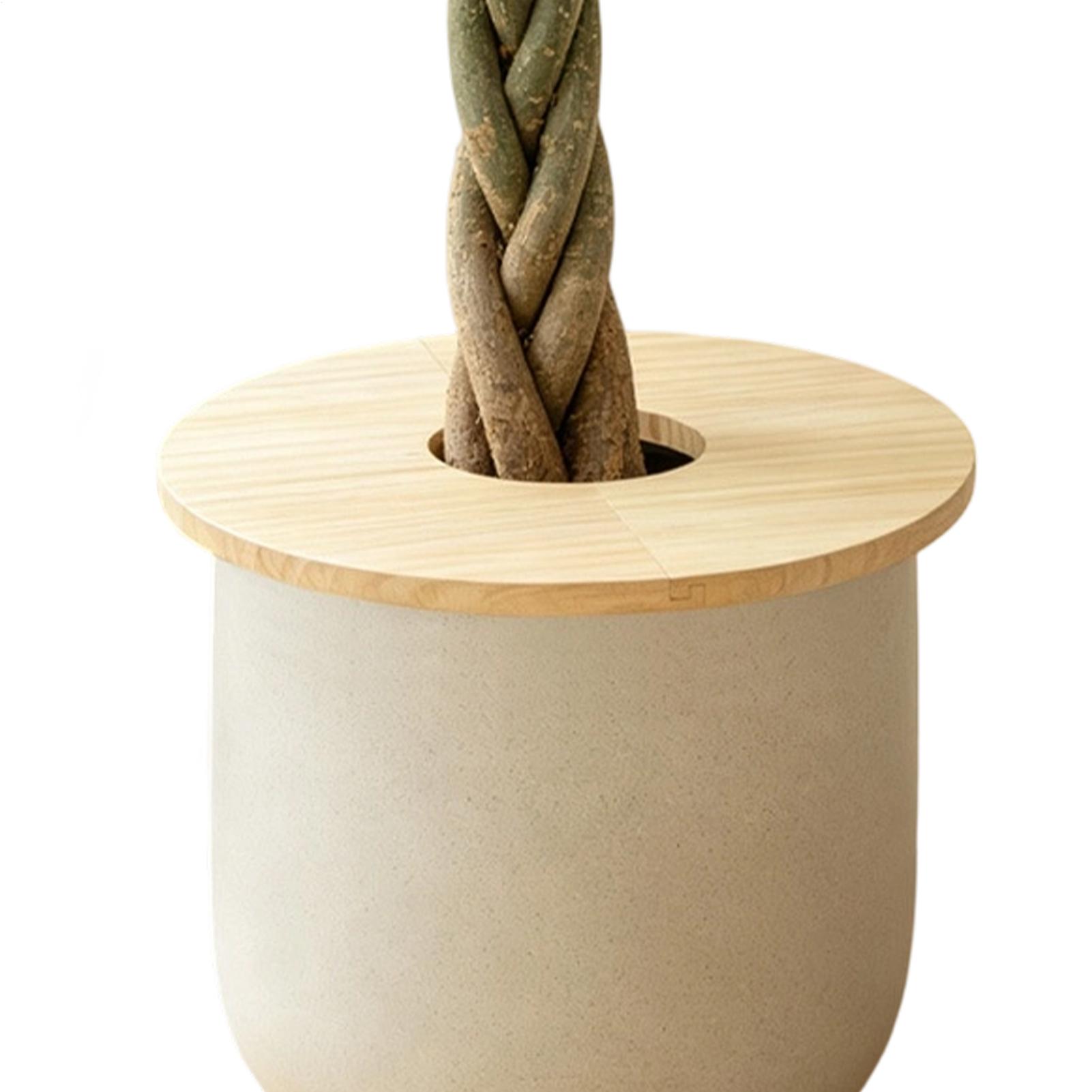 Bloempothoezen Houten gesplete - Indoor Herb Garden recensie en prijs