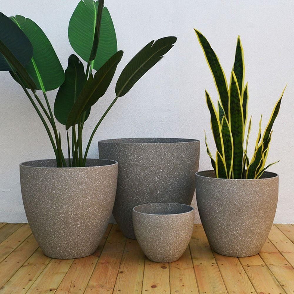 Frosted Imitatie Steen Bonsai  - Self Watering Planter recensie en prijs