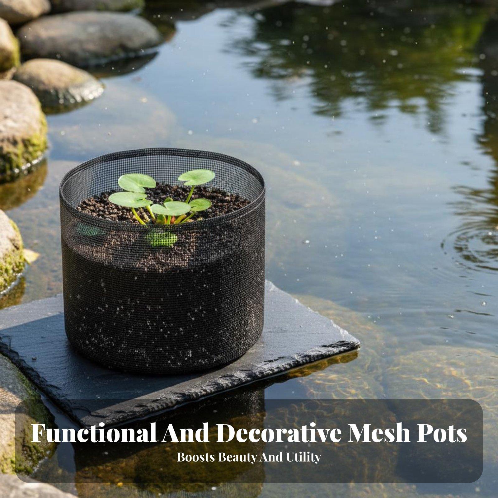 4-delige set waterlelie plante - Grow Bag recensie en prijs