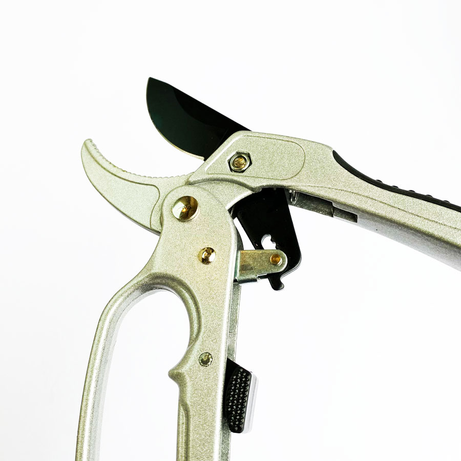 Professionele ratel snoeischaa - Pruning Shears recensie en prijs