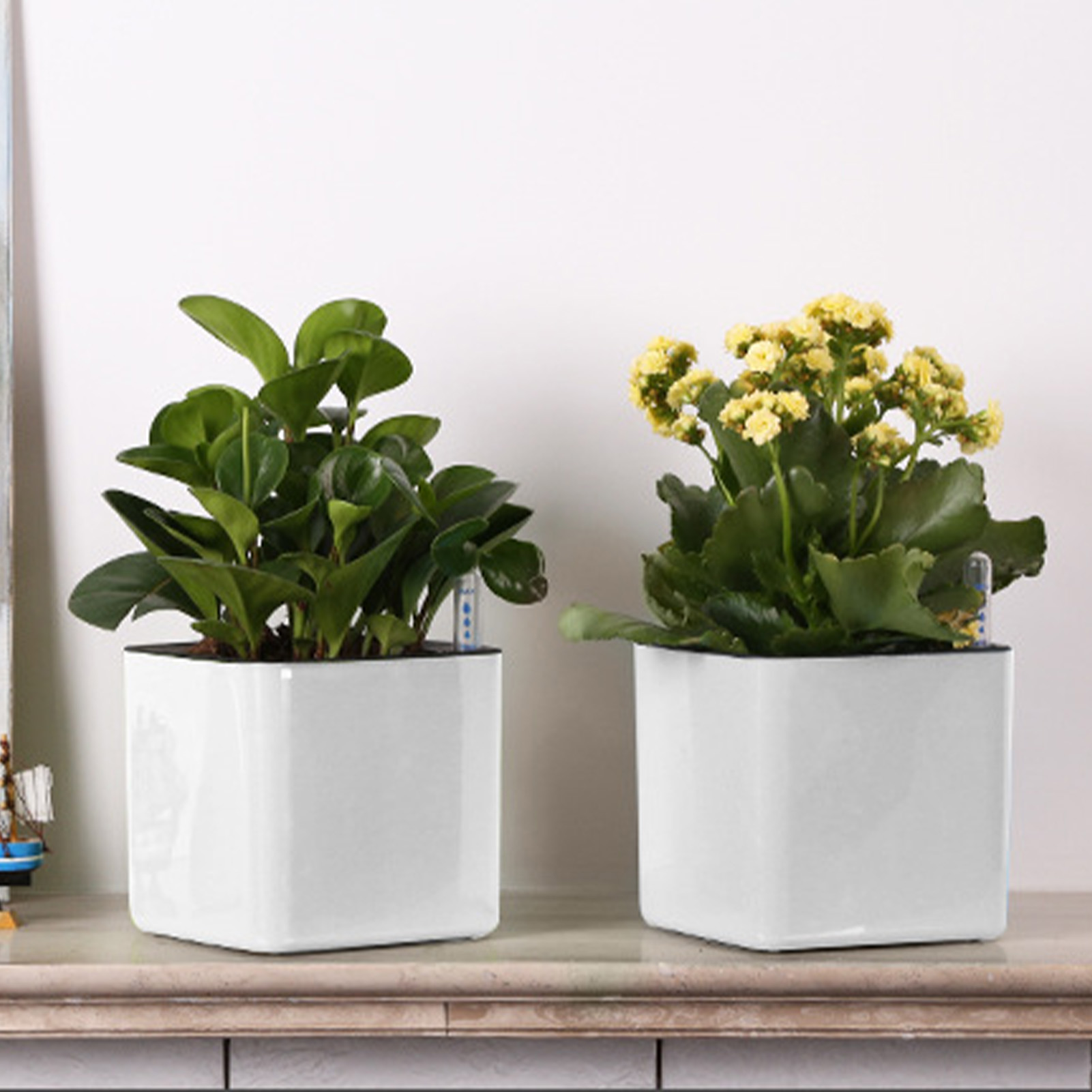Zelfwaterende plantenbak Zelfw - Self Watering Planter recensie en prijs