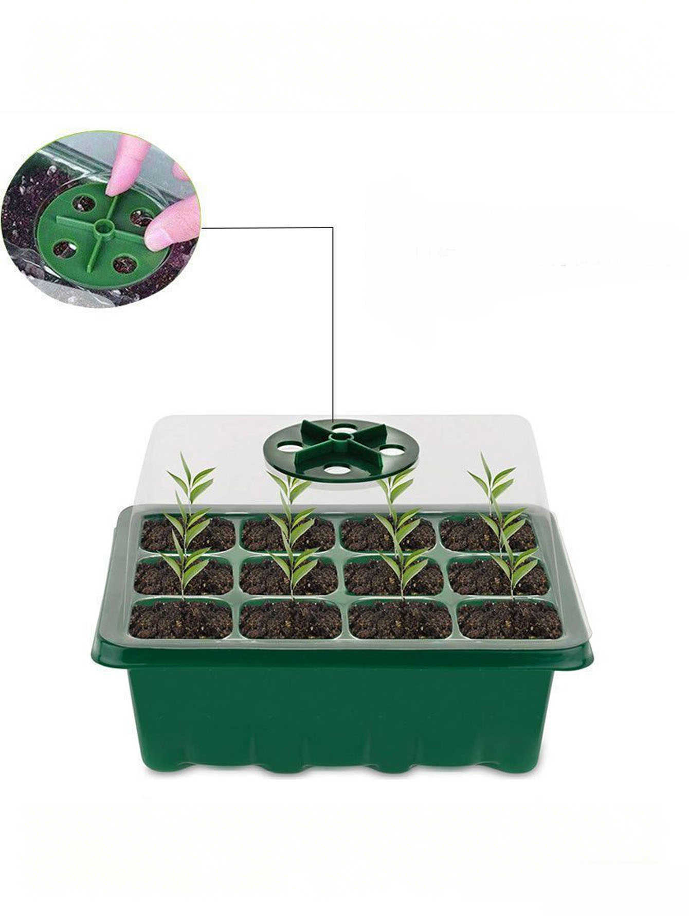 1/2 stuk zaaitray met 6/12 gat - Seed Starter Tray recensie en prijs
