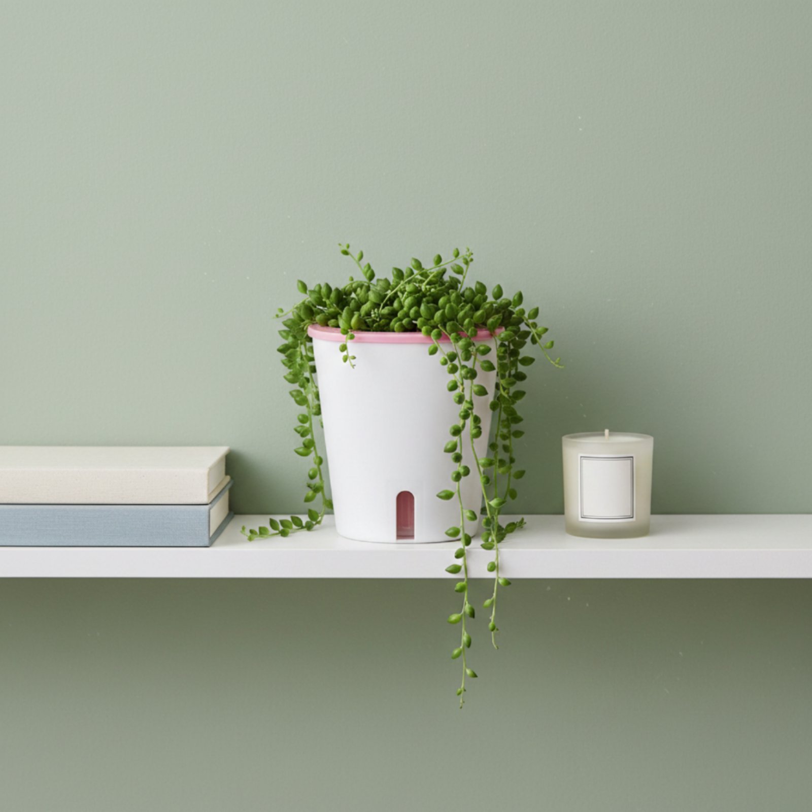 Zelfwatergevende plantenbak Gr - Self Watering Planter recensie en prijs