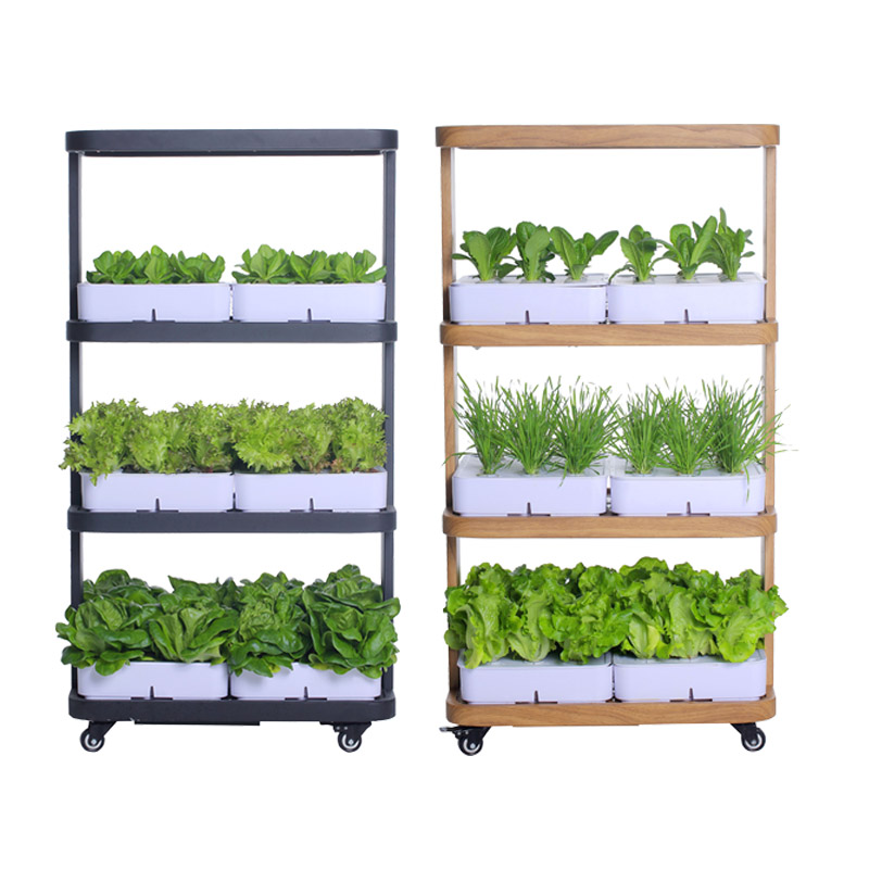 72 gaten 6 plantdozen LED-kwee - Grow Light Led recensie en prijs